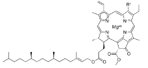 4549f2f3bf5bfddd7cab27e3c7671eac.png image.png